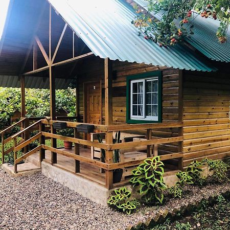 Cabana De Campo En El Lago De Yojoa Villa Santa Cruz de Yojoa Esterno foto